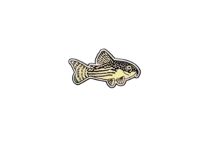 Collectible Corydora Enamel Foundation Support Pin