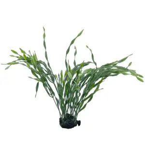 Realistic Plastic Aquatic Plant- Weighted Base, Life-like Movement- Never Dies!