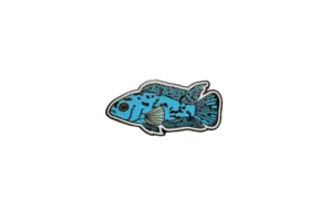 Collectible Jack Dempsey Cichlid Enamel Foundation Support Pin