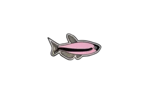 Collectible Pink Emperor Tetra Enamel Foundation Support Pin